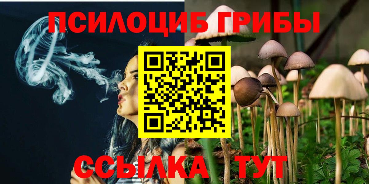Псилоцибиновые грибы MAGIC MUSHROOMS  Вход с VPN  Долгопрудный 