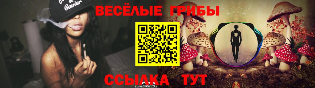 Псилоцибиновые грибы Cubensis Долгопрудный